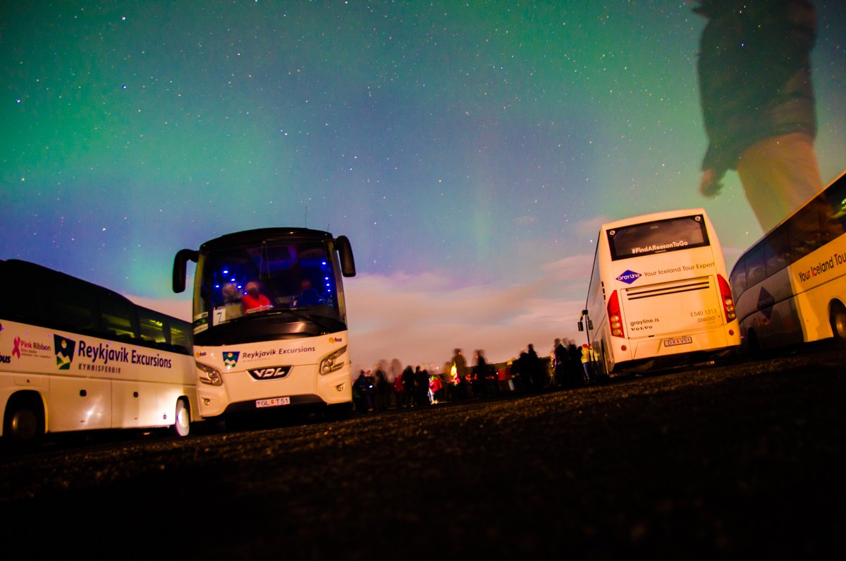 Reykjavik Excursions